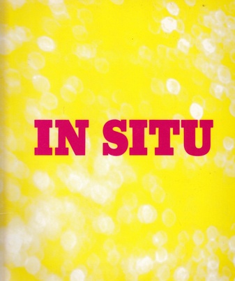 IN SITU. Junge Kunst aus Wien, CH und BRD