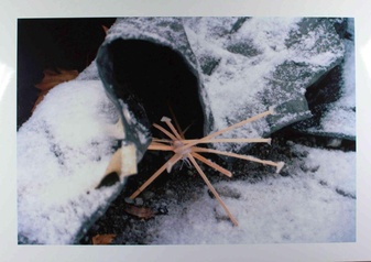 WALTER DAHN. Sommer wie Winter. Photographien 1999-2003
