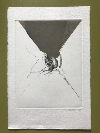 Gabriele Grosse. Tapisserien. Werkverzeichnis 1961 - 1981. [mit beil. Orig.Radierung 'Tapisserie' a.d. Jahre 1982, sign.]
