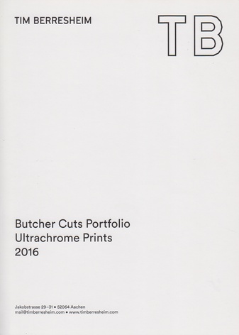 Tim Berresheim. The early bird (sigh) Traces / Graphic Portfolio / 2012