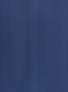 Wulf Herzogenrath: Oskar Schlemmer. Die Wandgestaltung der neuen Architektur, mit einem Katalog seiner Wandgestaltungen 1911 - 1942 (Fotografien, Vorstudien, Zeichnungen)