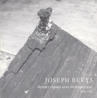 Joseph Beuys. dernier espace avec introspecteur. 1964-1982 