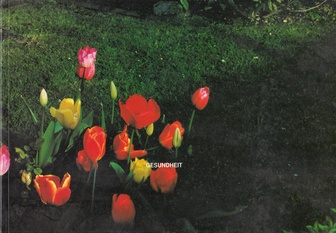 Gesundheit. Kunsthaus Essen 1999