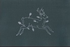 Mark Dion. THE ACADEMY OF THINGS/ DIE AKADEMIE DER DINGE