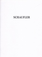 Matthias Schaufler. Kunstverein Leverkusen, Schloss Morsbroich