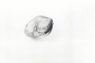 GUISEPPE PENONE. KABINETT FÜR AKTUELLE KUNST, BREMERHAVEN. 26.4. - 18.5.1980 [INVITATION CARD/ EINLADUNGSKARTE]