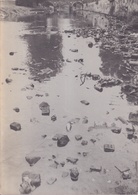 Janos Nadasdy. Mahnmal gegen die Gleichgültigkeit. [Widmungsexemplar]