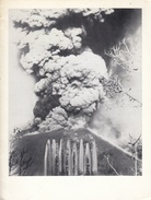 Peter Hutchinson. Works 1968/ 1974