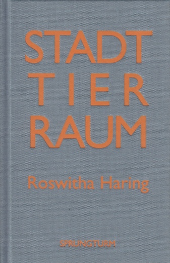 Stadt Tier Raum