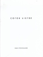 GABI STEINHAUSER. COLOR FIELDS