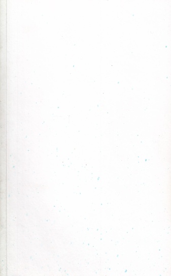 louis cordier. HALF-LIFE - CRASHED IN THE STORM OF 27.10.2002