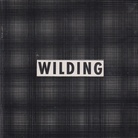 LUDWIG WILDING. MULTIPLES + SINGLES DER JAHRE 1965-1970