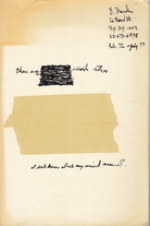 Suicide Notes by Brice Marden