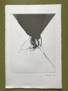 Gabriele Grosse. Tapisserien. Werkverzeichnis 1961 - 1981. [mit beil. Orig.Radierung 'Tapisserie' a.d. Jahre 1982, sign.]