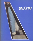 György Galantai. 2. Sept. - 8. Okt. 1989 daad galerie