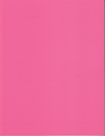 IMI KNOEBEL. Van Abbemuseum 3 april - 9 mei 1982