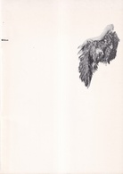 Christiane Möbus. Provinciaal Museum Hasselt, Tentoonstelling/ Exhibition [1986]