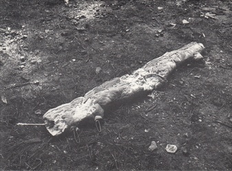 GUISEPPE PENONE. Alfabeto. Installazione Giardini di Rebuffone. (Brescia) 1976. [POSTKARTE/ POSTCARD]