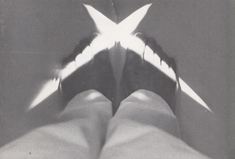 nan hoover. Stedelijk Museum, Amsterdam 27.9.-4.11.1979. cat. no. 656