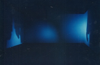 Nan Hoover. Rauminstallation: 'movement from either direction' [Photographie]