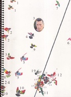Ricardo Cases. Paloma al aire