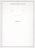 Cerith Wyn Evans. DELAY