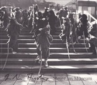 Lili Fischer. Meute im Museum