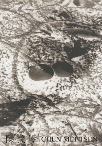 Chen Mei-Tsen