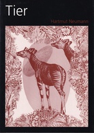 Hartmut Neumann. Tier