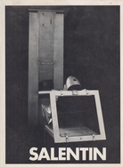 HANS SALENTIN. OBJEKTE UND BILDER