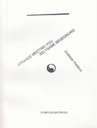 STRANGE, MEETING YOU/ SELTSAME BEGEGNUNGEN