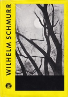 Wilhelm Schmurr. eingeleitet von Otto Brües. Monographien zur rheinisch-westfälischen Kunst der Gegenwart Band 7