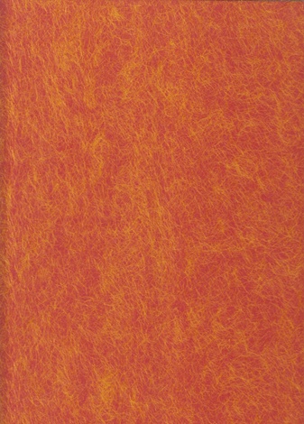 Thomas Emde. Kunsthalle Mannheim, 28. März 1992 - 21. Juni 1992