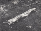 GUISEPPE PENONE. Alfabeto. Installazione Giardini di Rebuffone. (Brescia) 1976. [POSTKARTE/ POSTCARD]