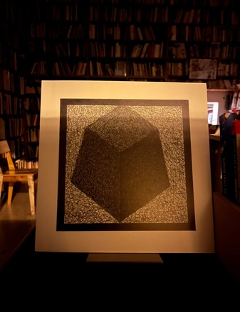 Sol Lewitt. Gekippte Formen. Westfälischer Kunstverein Münster 1987