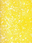 GERWALD ROCKENSCHAUB. Galeria Luis Campana, 1988