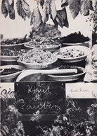 Lili Fischer. FELDFORSCHUNG V - Heilpflanzen. Kraut & Zauber