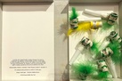 MICHAEL KREBBER. GROUND FLOOR/ MAYO THOMPSON. 8TH FLOOR